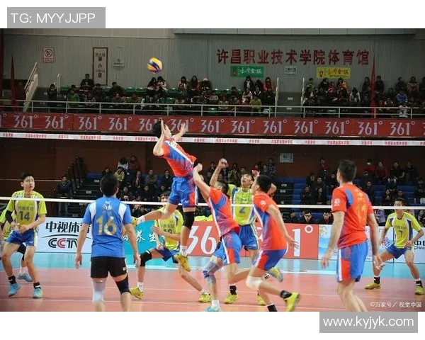 排球新手必看:掌握团队协作的实用技巧与策略指南 排球新手必看:掌握团队协作的实用技巧与策略指南